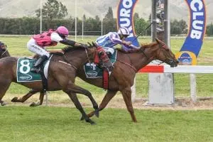 Lightweight chance hoping to repeat
