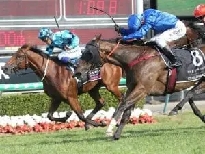 MM runner-up Dubious gets consolation