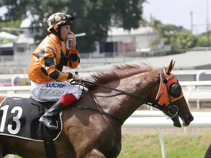 Eagle Farm winner Doss, an emergency for the Magic Millions Guineas, has been ruled out. doss