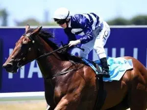 Terminology too smart in Magic Maiden