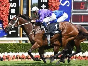 Invincibella could chase Magic hat-trick