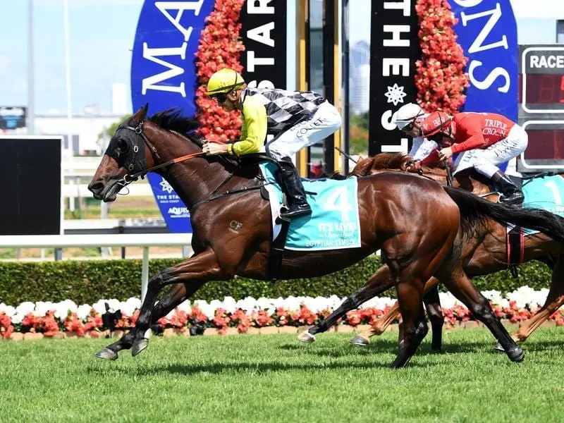 Sydney-trained mare Egyptian Symbol has enhanced an already impressive Magic Millions record. Egyptian Symbol.