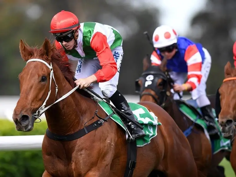 The Joe Pride-trained Sikhing Glory (l) is among Jay Ford's full book of rides at Randwick. sikhing glory