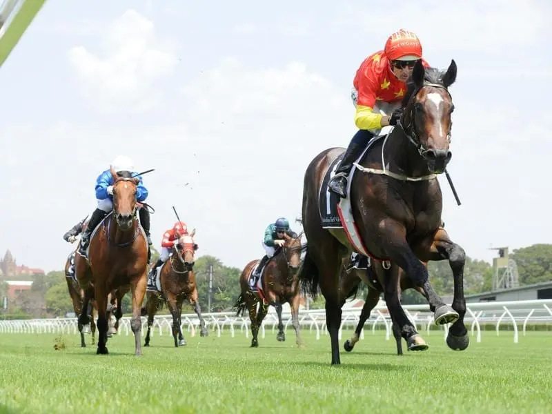 Hightail is a significant firmer for Magic Millions 2YO Classic after winning at Randwick. Hightail wins at Randwick.