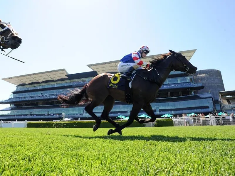 Apprentice Robbie Dolan has ridden a winning treble at Randwick, starting with Single Bullet. robbie dolan