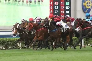 Sha Tin Sha Tin