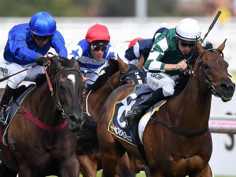 Lock, stock and barrel: a win by Avilius (left) capped a Godolphin day at Caufield. Avilius