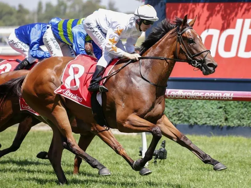 Loving Gaby has moved to third favourite for the Blue Diamond after an impressive win at Caulfield. Loving Gaby.