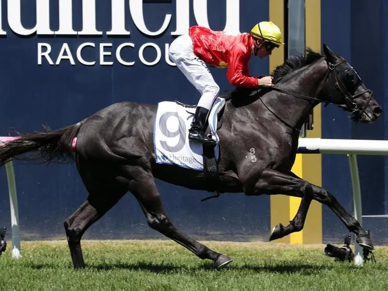 After sprinting to the front 200m out, Global Exchange has won Caufield's Autumn Classic. Global Exchange
