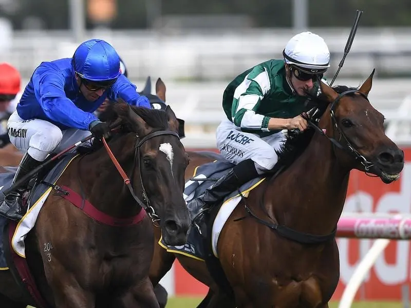 Avilius (left) is part of a strong Godolphin team at Caulfield for the Blue Diamond Stakes meeting. avilius