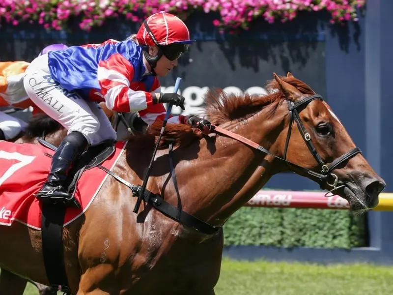 Connections are considering tackling the Newmarket Handicap with sprinter-on-the-move Mystyko. Mystyko.