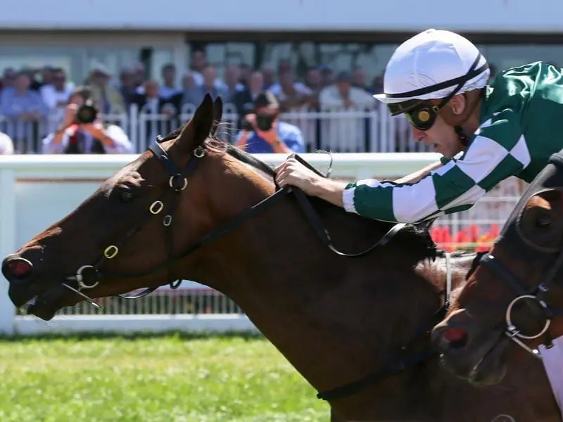 Jordan Childs had to ride Sikandarabad upside down to victory in the Mornington Cup Prelude. Sikandarabad