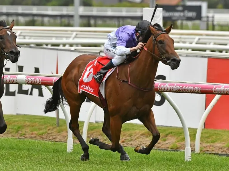 Tropezina will stay at home to run at Caulfield rather than travel to Sydney for a $1 million race. tropezina