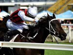 Key step for Mr Marbellouz at Doomben