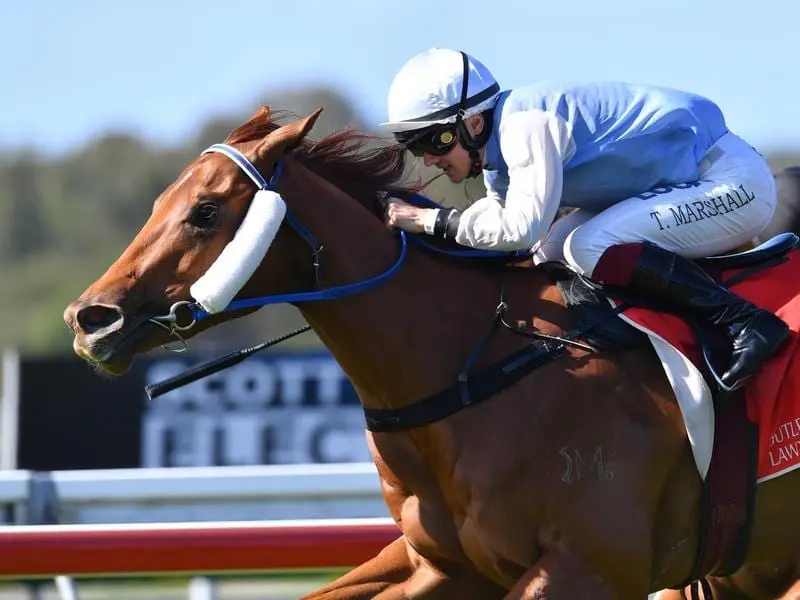 The Les Ross-trained Defence Missile can earn another QTIS bonus when he runs at Doomben. defence missile