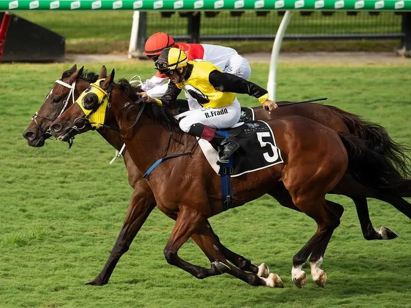Ingeegoodbe (outside) has responded to a low-key build-up to win at Eagle Farm for Robert Heathcote. Ingeegoodbee.