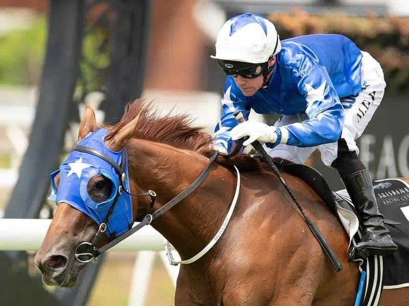 Meet Mr Taylor has broken the 1000m Eagle Farm record to keep an unbeaten record intact. Meet Mr Taylor.