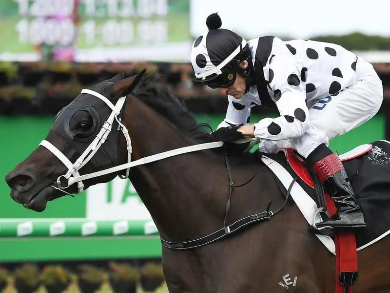 A potential winter distance campaign awaits Chris Waller-trained Eagle Farm winner Tatcee. Tatcee
