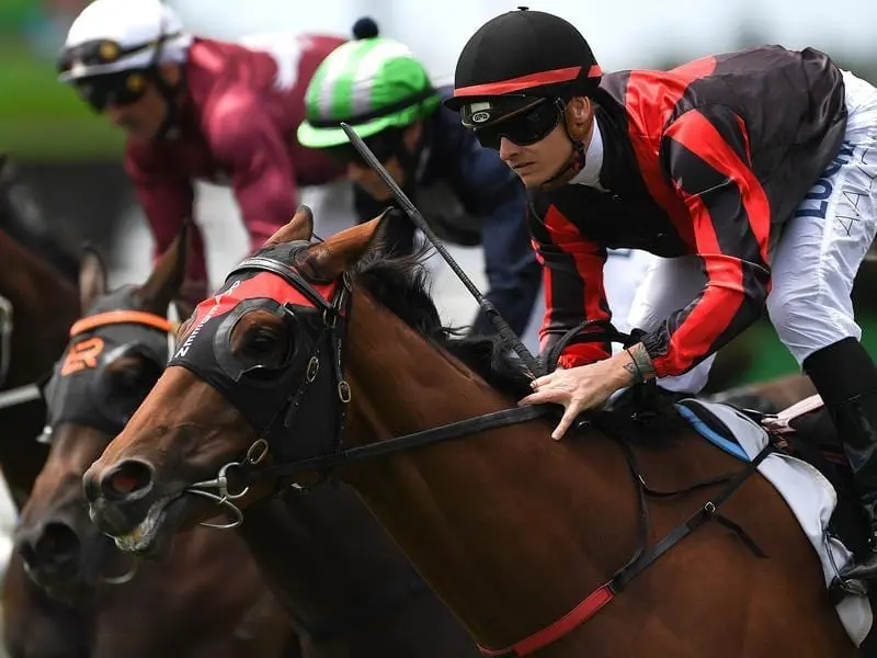 Magic Beans has beaten favourite Raay of dreams to take out the Priceline Two Year Old. Magic Beans