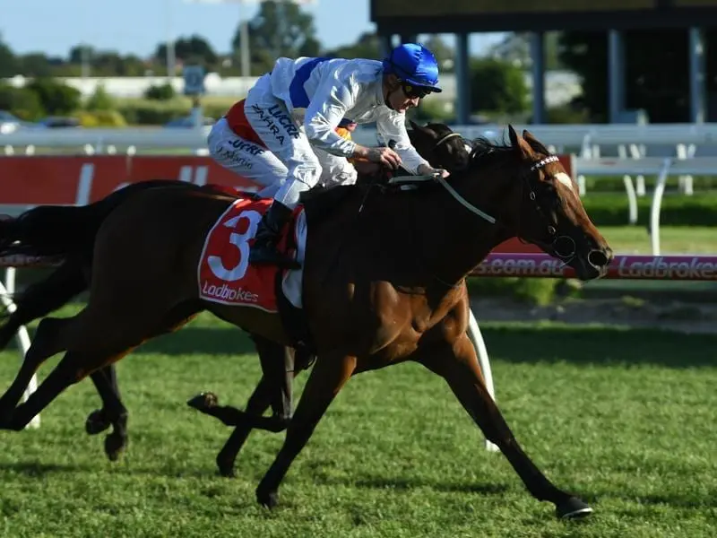 Former Darren Weir-trained mare Teodora makes her debut for Tony Gollan at Eagle Farm. teodora