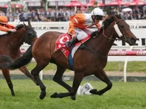 Earlier Flemington start to suit Sicconi