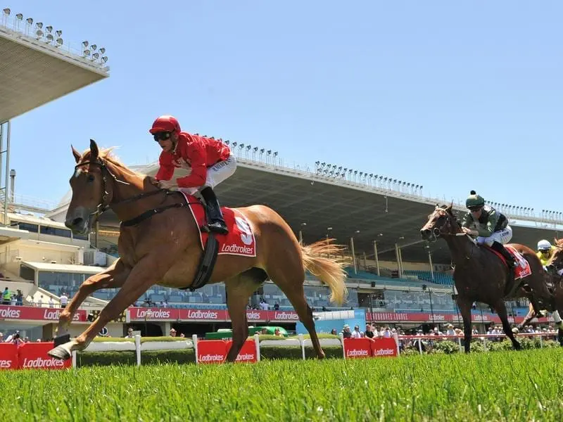Trainer Jason Warren has Brooklyn Hustle heading to the Blue Diamond Fillies Prelude at Caulfield. brooklyn hustle