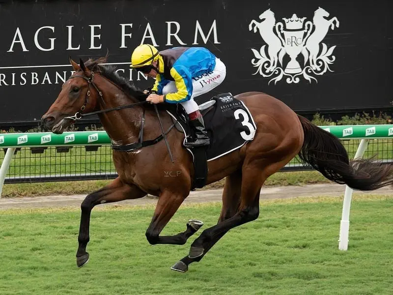 Trainer Tony Gollan will split promising 2yos Garibaldi who beat Vincere Volare at Eagle Farm. garibaldi