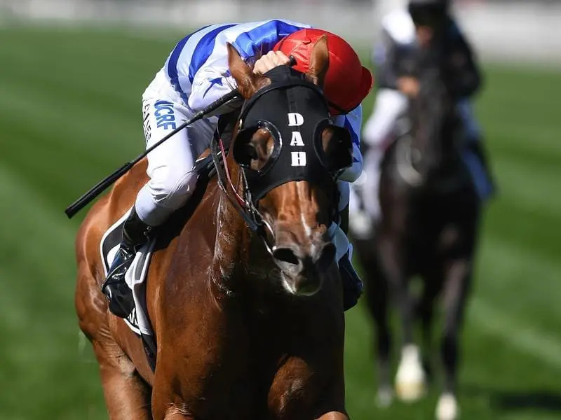 redkirk warrior