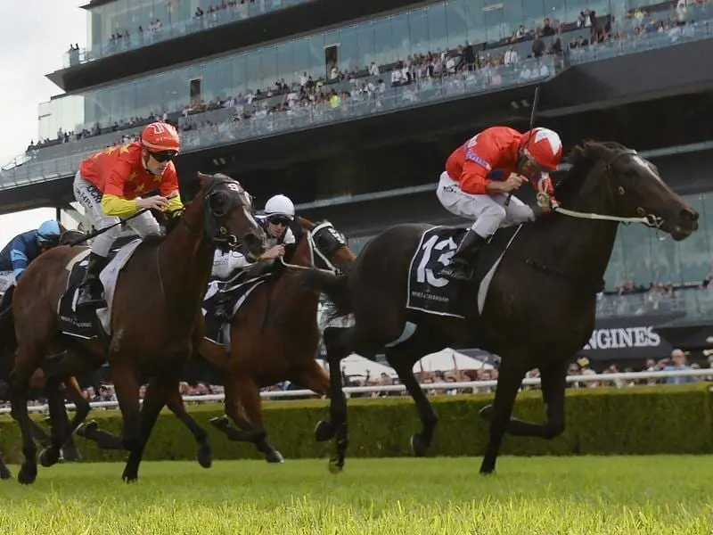 Champagne Stakes winner Seabrook (r) is among Mick Price-trained horses set to trial at Cranbourne. seabrook