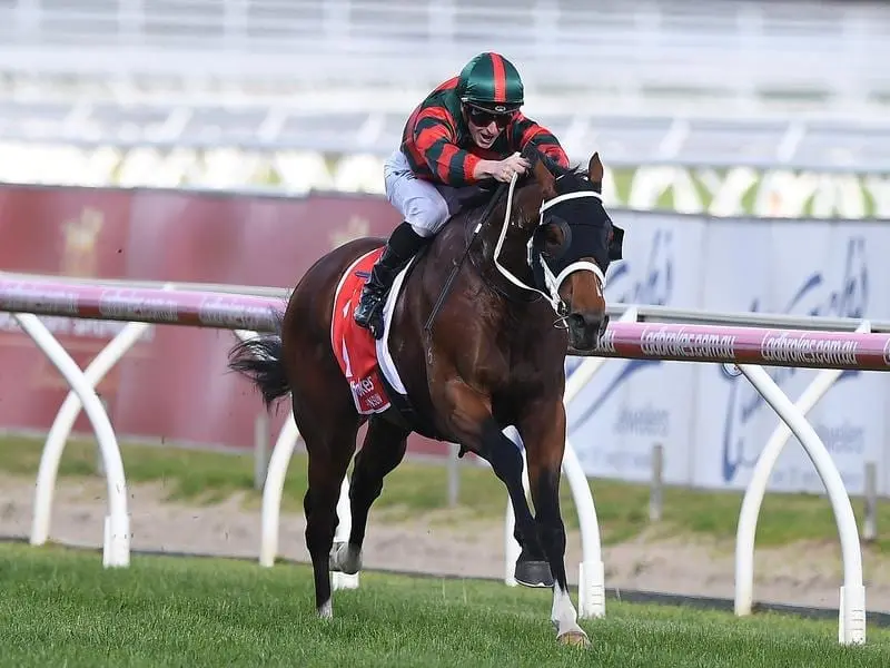 Caulfield Guineas winner The Autumn Sun heads to entries for the Hobartville Stakes. the autumn sun