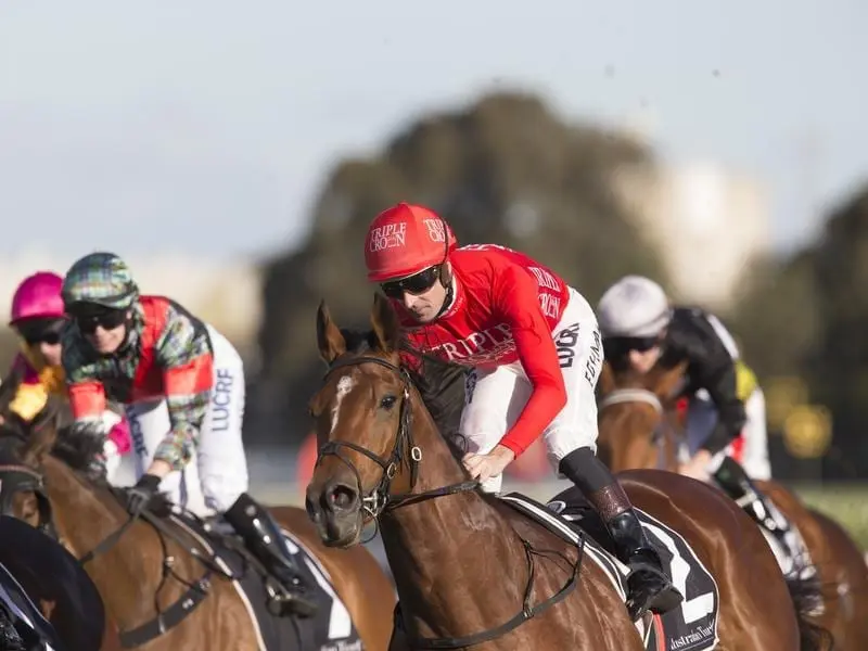 Stakes winner Gold Symphony (right) will do his future racing with Brisbane trainer Lauren Herne. gold symphony