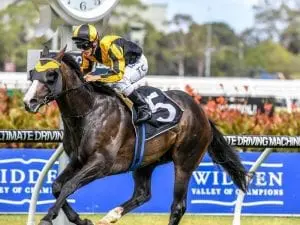 Trapeze Artist shines in barrier trial win