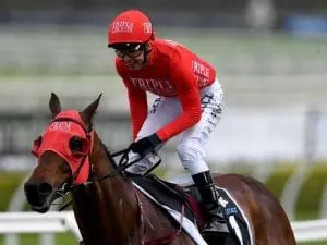 Redzel wins trial by four lengths