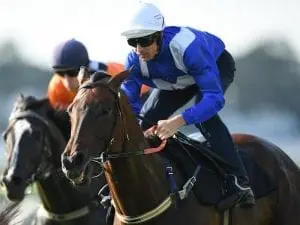Winx and her place in Australian racing Winx and her place in Australian racing