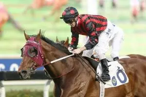 Derby hopes eclipsed as Good Standing finally blossoms
