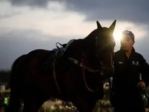 Winx primed for start of final campaign