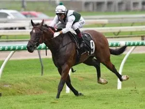 Sydneysider Tonsor could return for winter Sydneysider Tonsor could return for winter