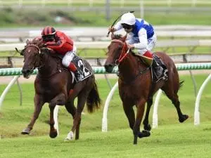 Decision time looms for Nolan-trained 2YO Decision time looms for Nolan-trained 2YO
