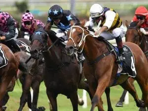 Consistent Le Juge heads for winter riches Consistent Le Juge heads for winter riches