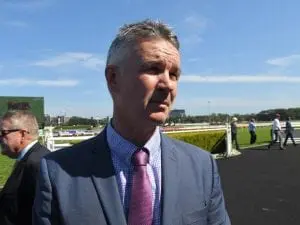 Sydney gelding Tonsor to run at Doomben Sydney gelding Tonsor to run at Doomben