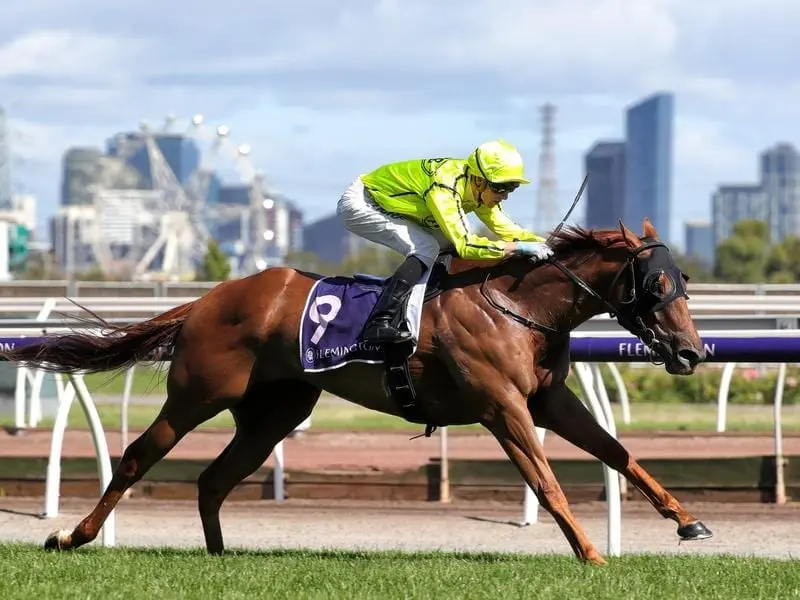 Mr Money Bags will be chasing a slice of the $5 million on offer in the All-Star Mile at Flemington. Mr Money Bags.