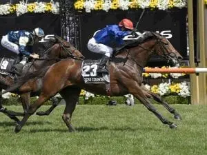 Melbourne Cup champ ready for Dubai return Melbourne Cup champ ready for Dubai return