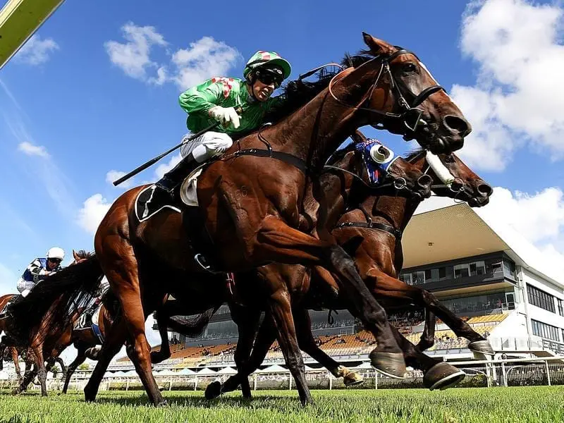 The Chris Munce-trained First Crush will go to the Toowoomba Cup with four weeks between runs.Y first crush