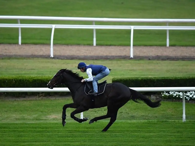 James McDonald has ridden European G2 winner Eminent in a work-out at Canterbury quarantine centre. eminent