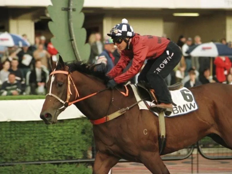 redoute's choiced