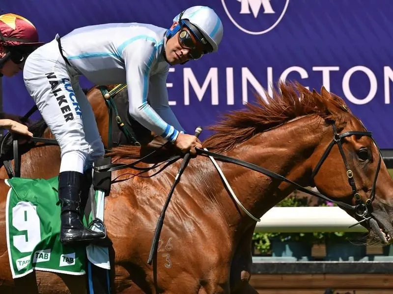 Michael Walker is hoping to have at least three days shaved from a careless riding suspension. michael walker