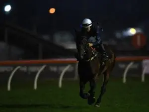 Winx in perfect order ahead of Ryder Winx in perfect order ahead of Ryder