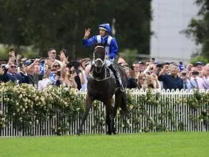 Champion Winx the people’s choice Champion Winx the people's choice