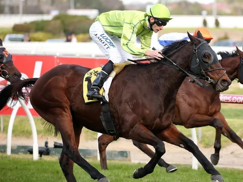 Jockey Jamie Mott rides Self Sense (file image)