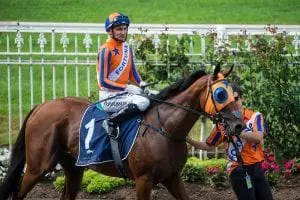 Opie Bosson Owners reject offer for Melody Belle